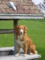 index009038.jpg
